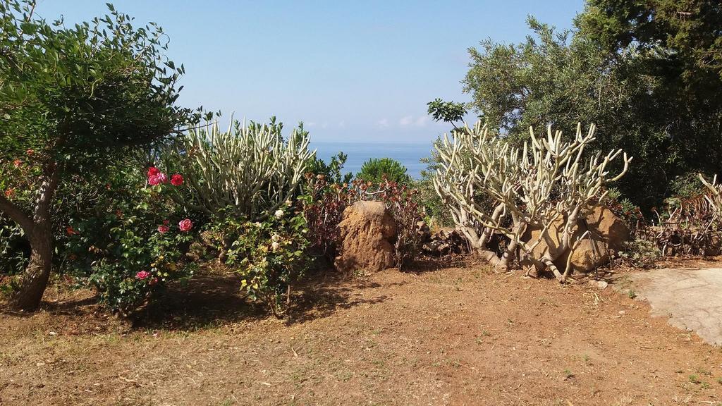 Villa La Rosa Pecorini Buitenkant foto