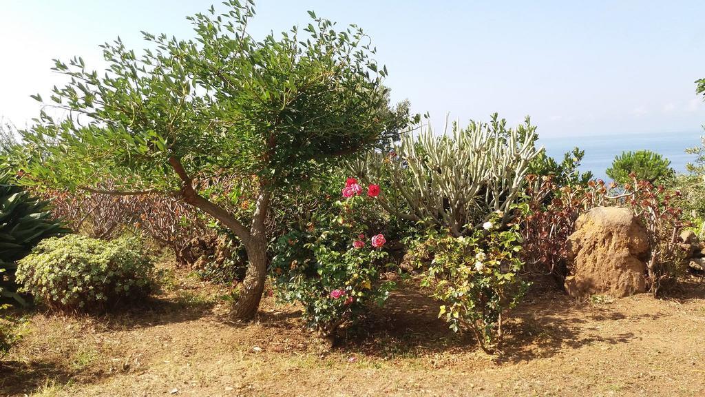 Villa La Rosa Pecorini Buitenkant foto